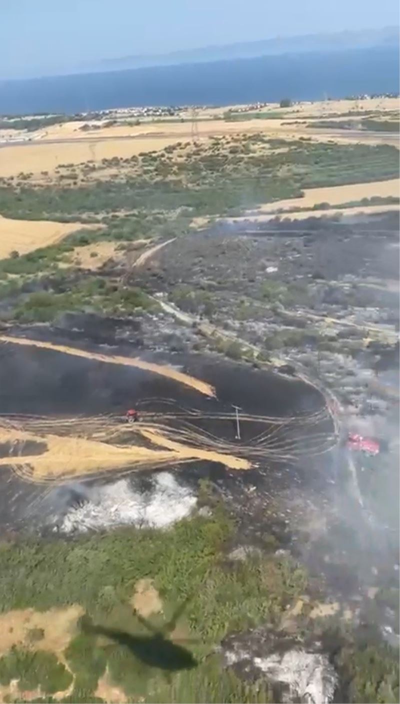 Gelibolu’da 1 hektar tarım arazisi yanarak kül oldu

