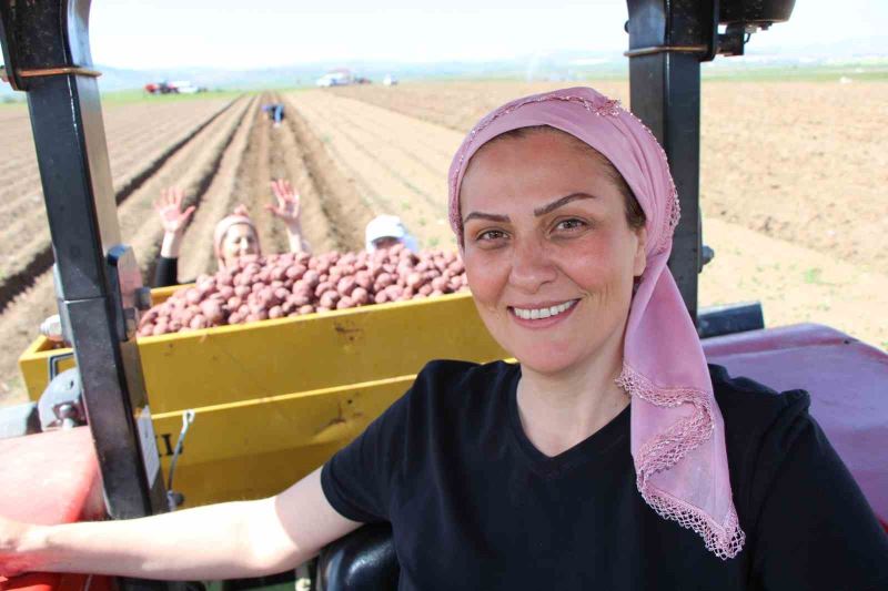 Cambridge mezunu kadın çiftçi, mor patatesi Anadolu’da yaygınlaştırmaya çalışıyor
