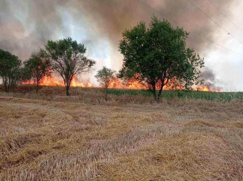Anız yangını buğday tarlasına sıçradı çiftçinin emeği küle döndü
