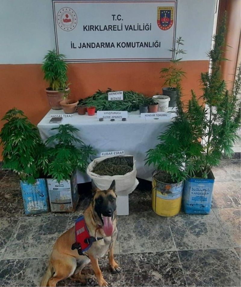 Kırklareli’nde kenevir ile kubar esrar ele geçirildi
