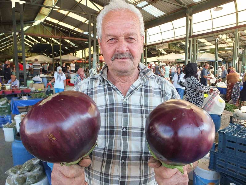Karpuz büyüklüğündeki kiloluk patlıcanlar ilgi görüyor
