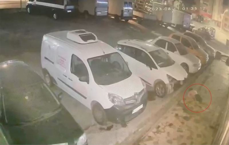 19 yaşındaki gencin 6. kattan düşüş anı kameraya yansıdı
