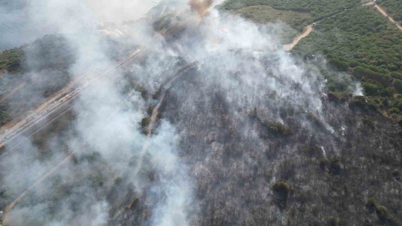 TÜBİTAK yerleşkesinde çıkan yangına 4 uçak ve 2 helikopterle müdahale sürüyor
