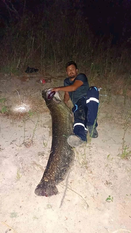 Tekirdağ’da 2 metrelik dev yayın balığı yakalandı
