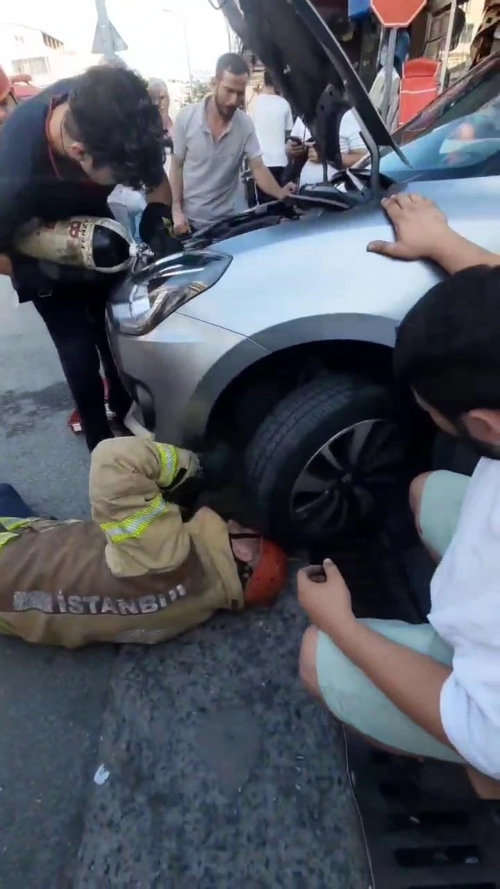 Otomobil kaputuna sıkışan yavru kediyi itfaiye kurtardı: O anlar kamerada
