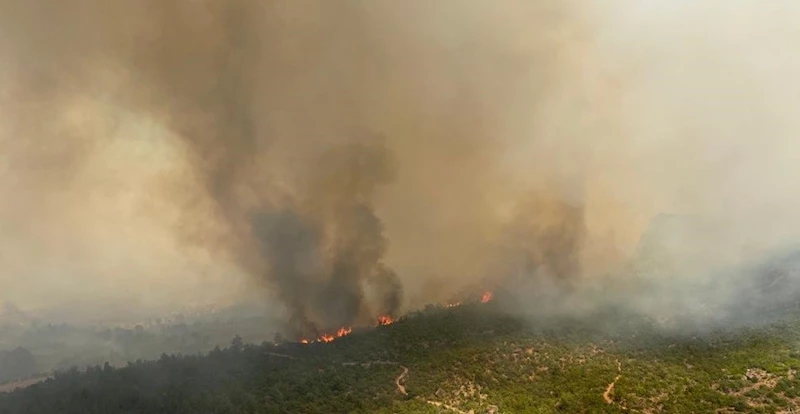 Çanakkale’de orman yangını: 1 köy boşaltıldı
