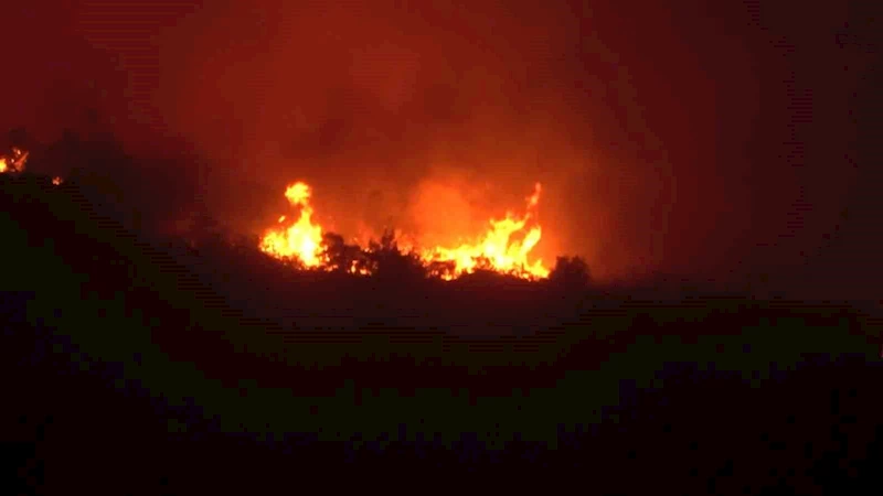 Yenişehir’de kontrol altına alınan yangın rüzgarın etkisiyle tekrar başladı
