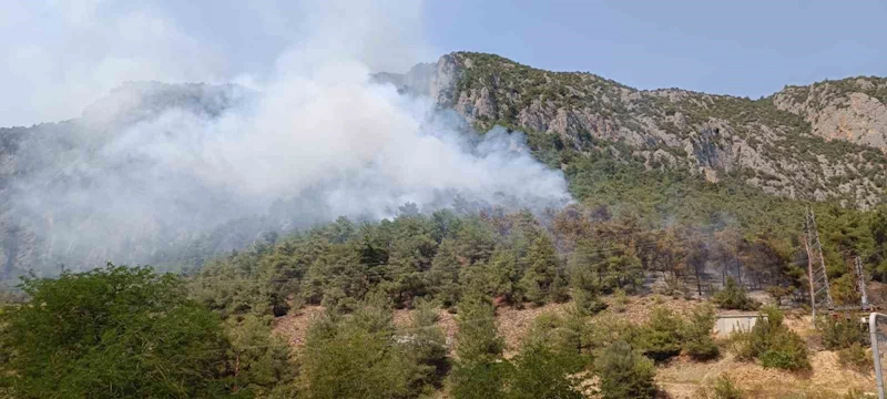 Bilecik’te çıkan orman yangını kontrol altına alınmaya çalışılıyor
