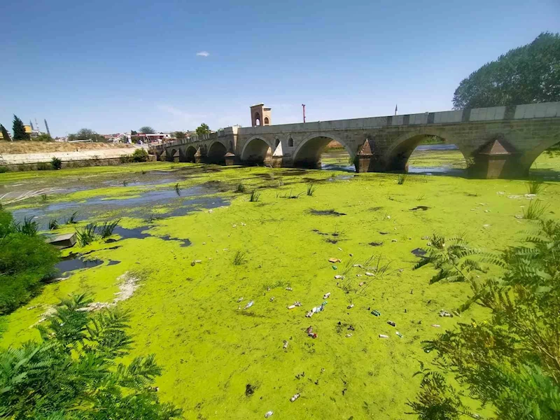 Edirne’de Tunca Nehri kirlilikten yeşile büründü
