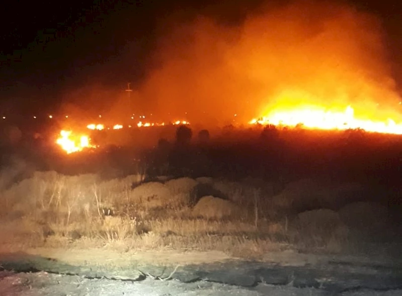 Bandırma’da park halindeki araçta çıkan yangın ormanlık alana sıçradı
