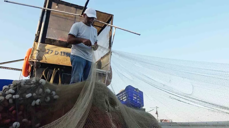 Yalova’da balıkçıklar hamsiden umutlu: “Vatandaşımız bu yıl mutlaka balık yer. Bu sene hamsi bol”
