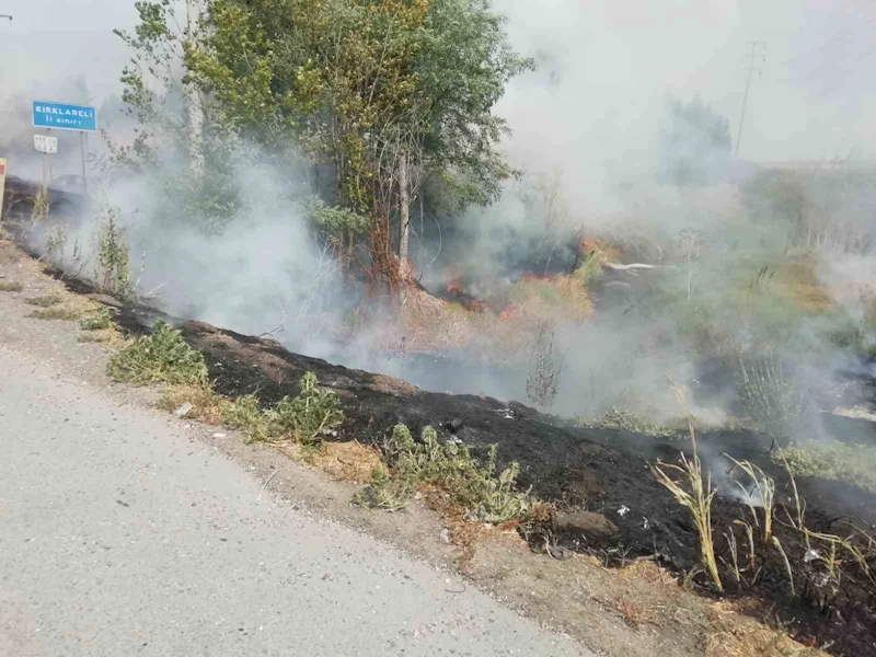 Tekirdağ’da ağaçlık alan kül oldu
