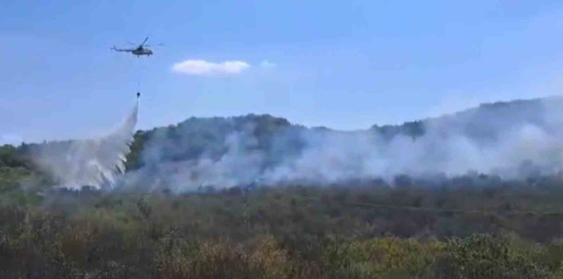 Türkiye-Bulgaristan sınırında orman yangını
