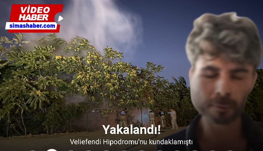 Veliefendi Hipodromu’nda 6 aracın yanmasına ilişkin 1 şüpheli şahıs yakalandı