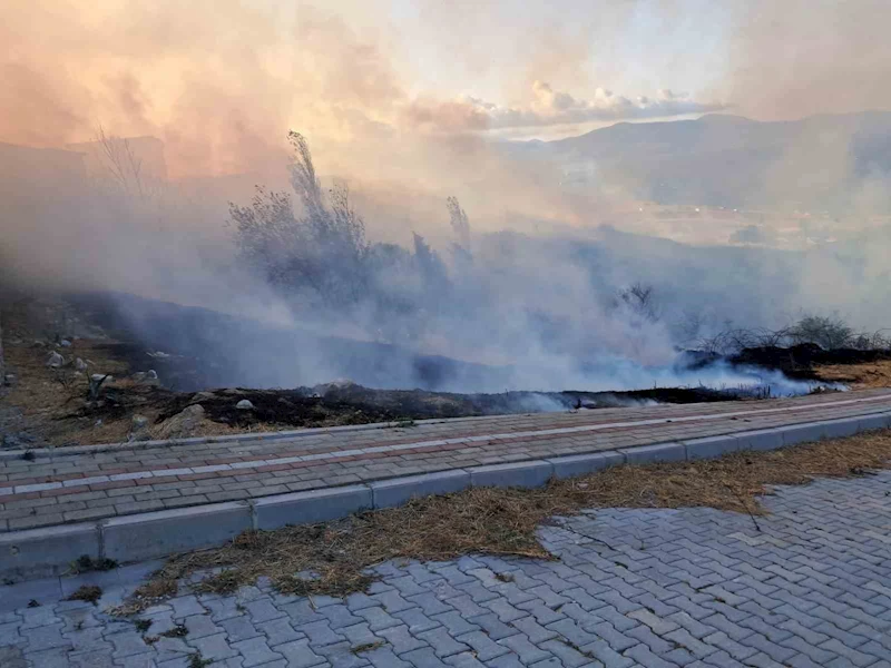 Bandırma’da otluk yangını evleri tehdit ediyor
