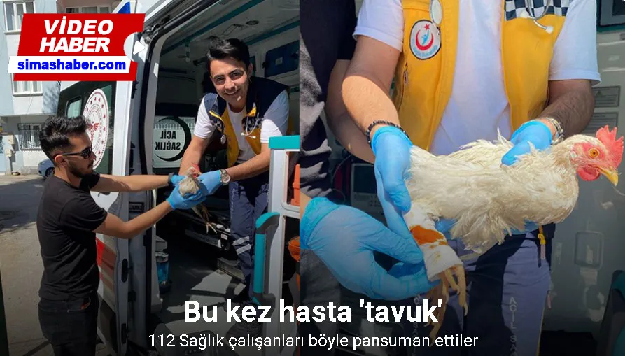 Alo acil 112 tavuğum yaralandı