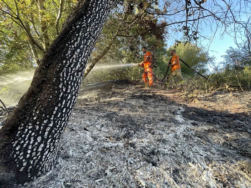 Ormanda çıkan yangın 4 dönüm yeri kül etti
