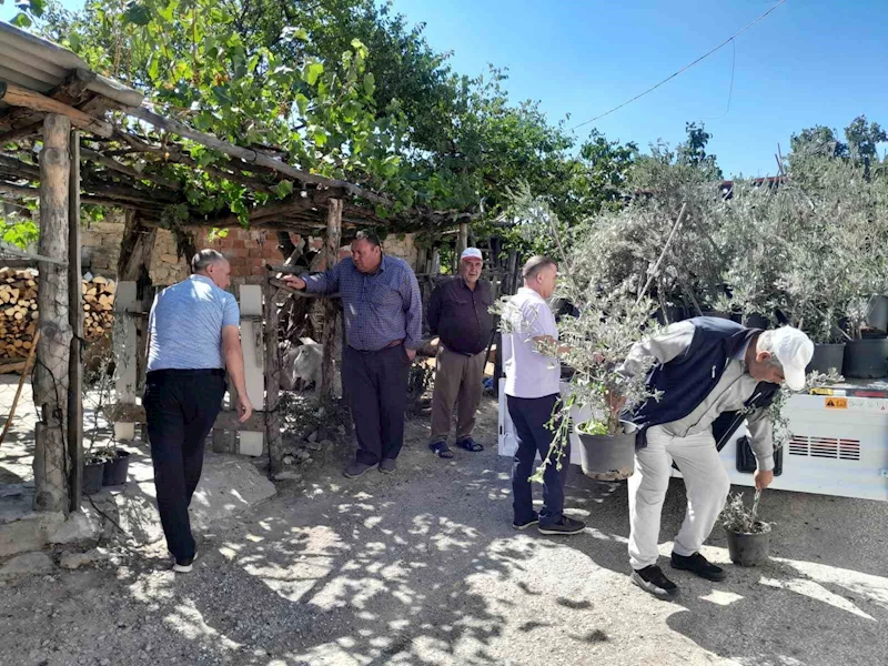 Edremit’ten, Çanakkale yangınında etkilenen köylere 250 zeytin fidanı gönderildi
