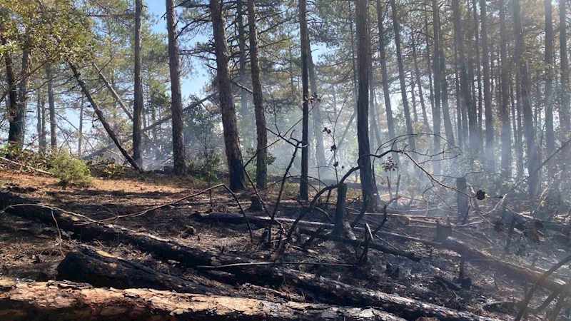 Kütahya’daki orman yangını için Bursa’da da seferberlik
