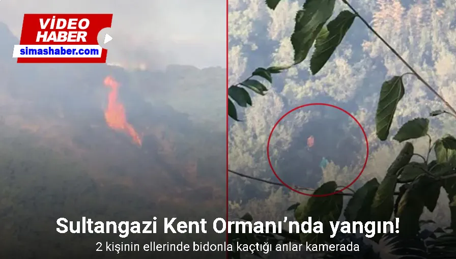 Sultangazi Kent Ormanı’nda yangın çıktı: Havadan müdahale ediliyor