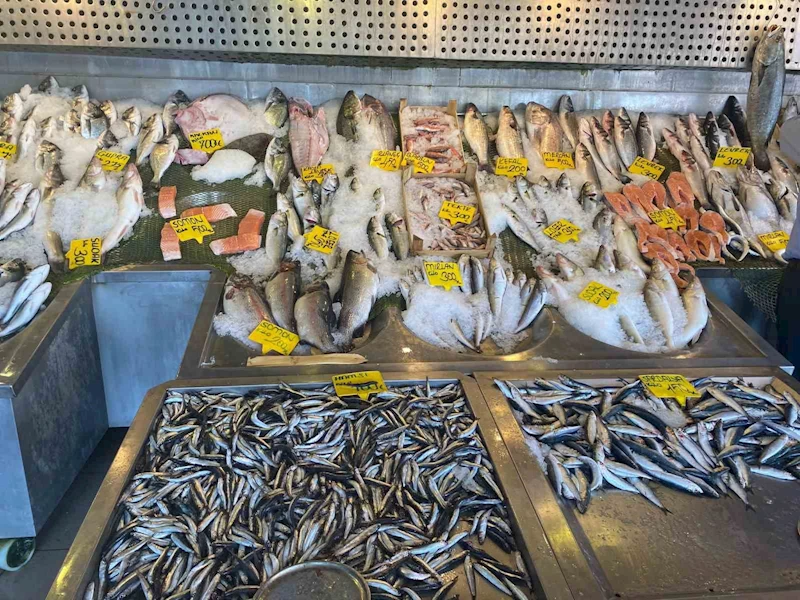 Balıkçılardan ucuz mazot desteği ve hal giderlerinin düşürülmesi çağrısı
