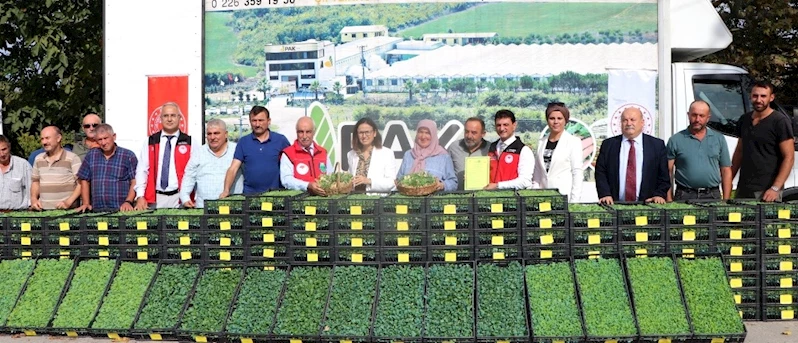 Yalova’da çiftçilere 490 bin adet sebze fidesi dağıtıldı
