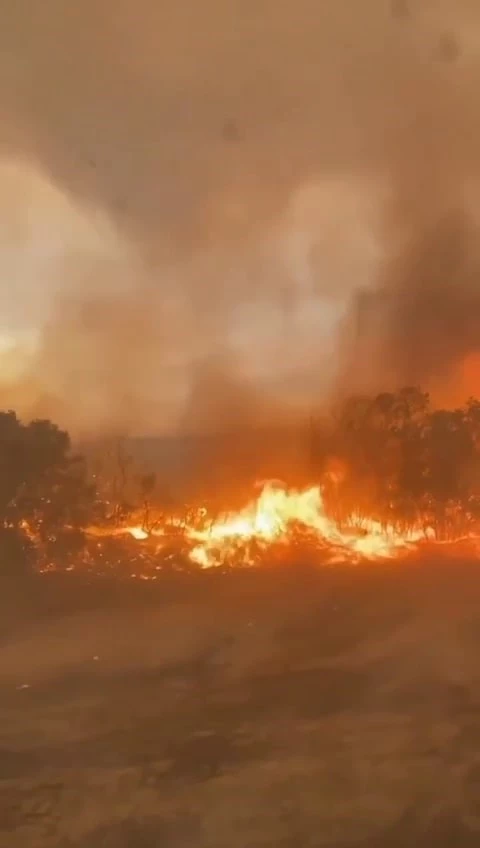 Muğla’daki yangına giden Sakarya orman yangını gönülleri alevlerin arasında kaldı
