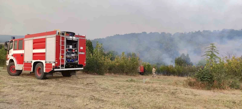 Bulgaristan-Türkiye sınırındaki yangın sebebiyle 2 köy boşaltıldı
