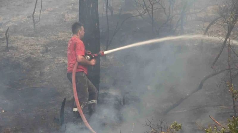 Bursa’da orman yangını arıları telef etti, ekipler alevlere böyle müdahale etti
