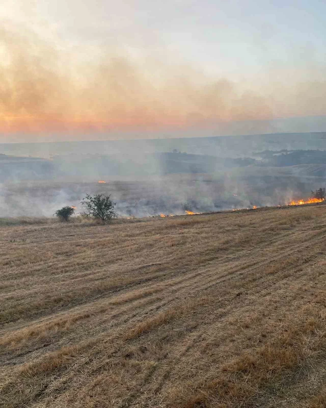 Kırklareli’nde hasat edilen buğday tarlasında çıkan yangın söndürüldü
