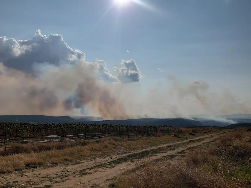 Bulgaristan-Türkiye sınırındaki orman yangını kontrol altına alındı