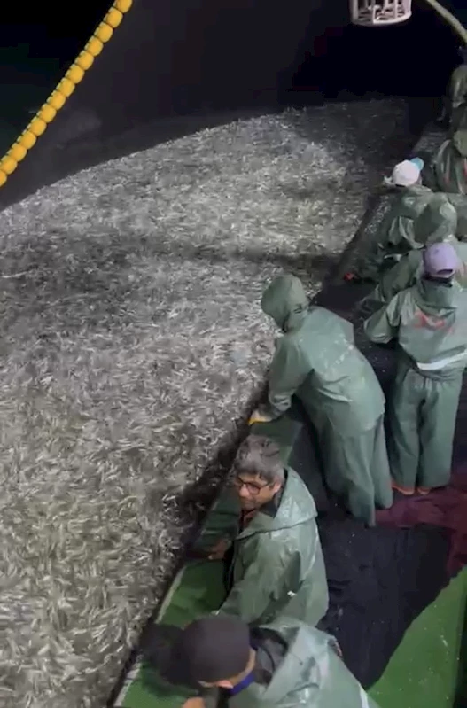 Gırgır teknesi Bozcaada açıklarında 75 ton sardalya yakaladı
