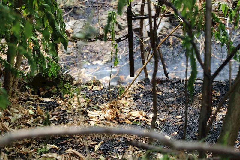 Taşova’da örtü yangını ormana sıçramadan söndürüldü
