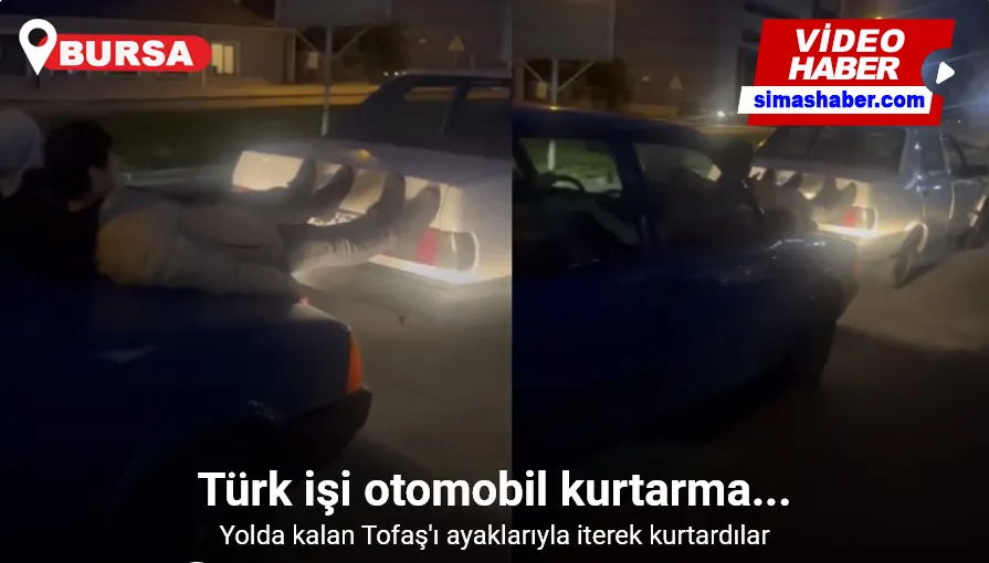 Türk işi otomobil kurtarma...Tofaş’ın kuş serisini ayaklarıyla iterek kurtardılar
