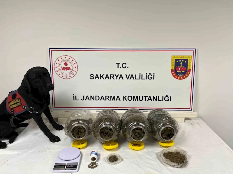 Sakarya’da jandarma suça geçit vermiyor: 6 tutuklama
