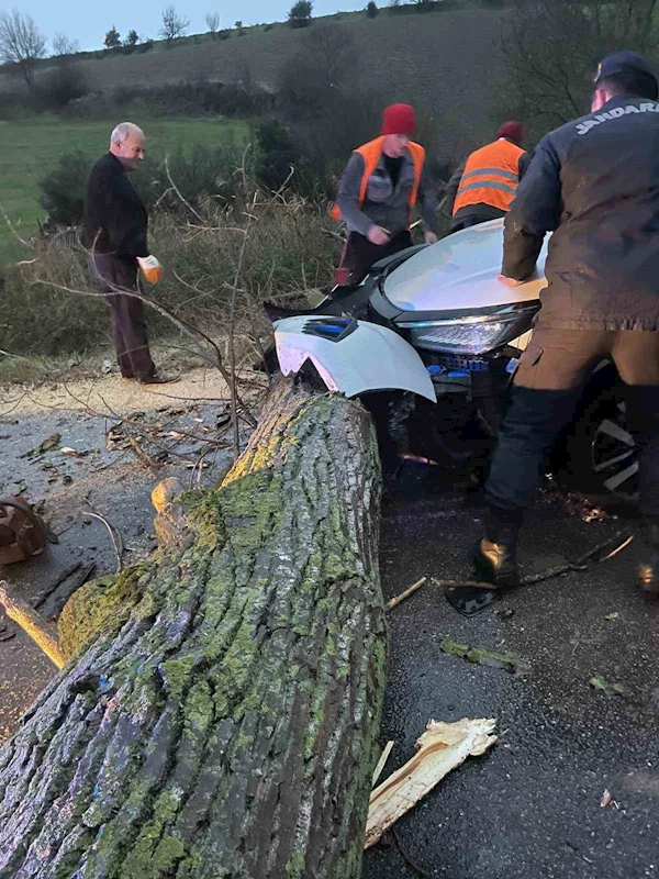 Biga’da otomobil fırtına nedeniyle yola devrilen ağaca çarptı
