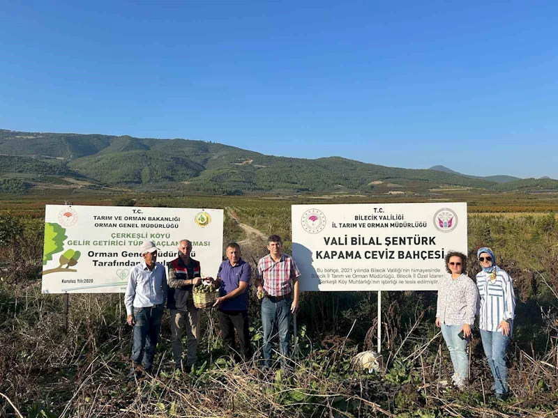 Kavaklığı ceviz bahçesine dönüştüren muhtarlık ilk hasadını yaptı
