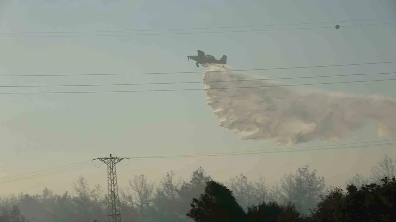 Çanakkale Valisi Toraman: 