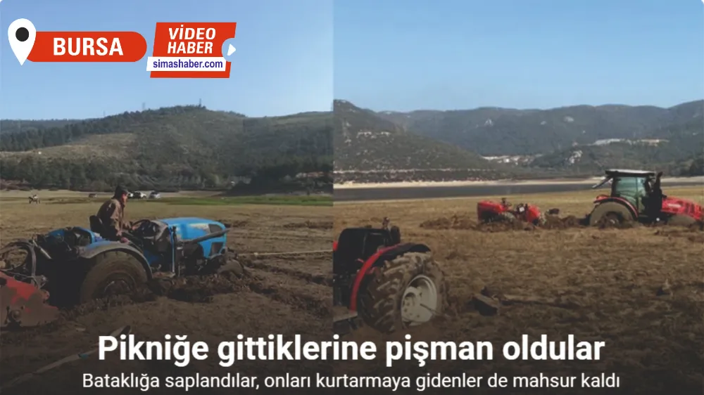 Pikniğe giden bataklığa saplandı, onları kurtarmaya gidenler de mahsur kaldı