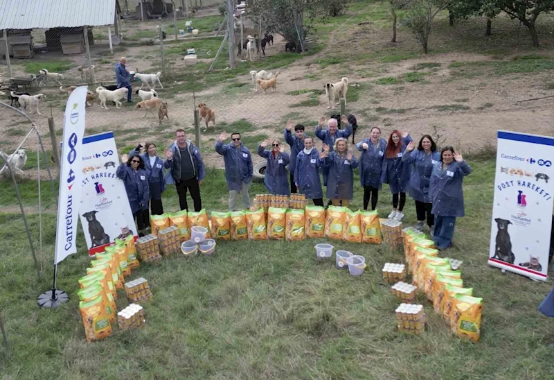 CarrefourSA Dost Hareketi ile sokak hayvanlarına desteğe devam ediyor
