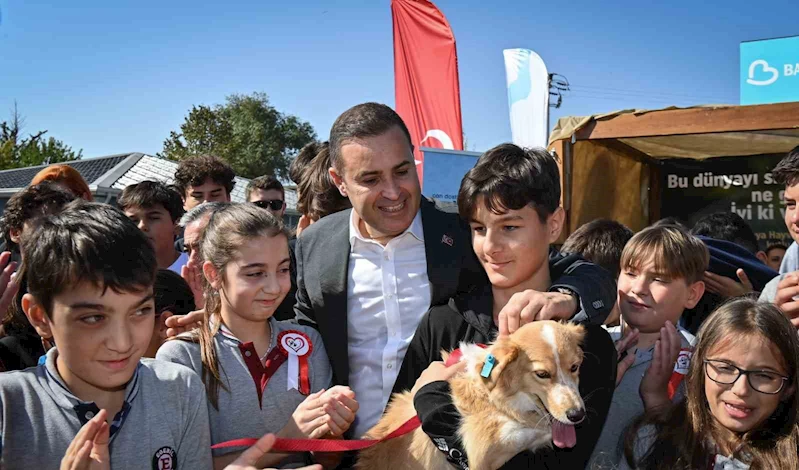 Büyükşehir kampanya ile 500’ün üzerinde can dostunu sahiplendirdi
