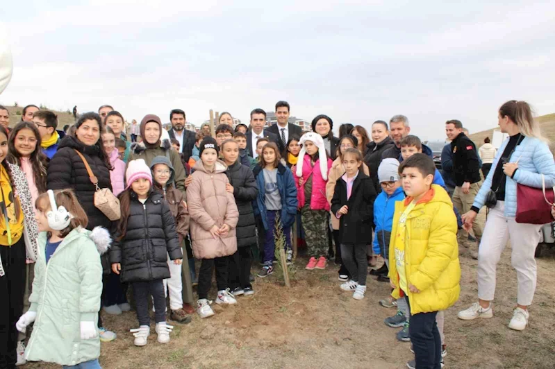 Çorlu’da tohumlar fidana, fidanlar Cumhuriyet çınarına dönüşüyor
