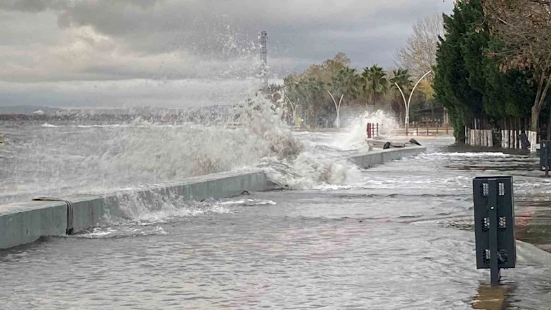 Kocaeli’de deniz taşarken 2 tekne battı, ağaçlar ise yerlerinden söküldü
