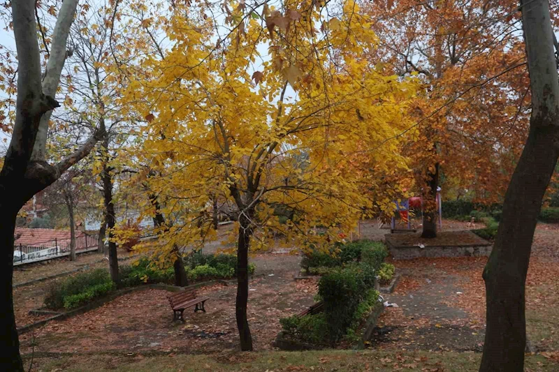 Beyazın ve sonbaharın güzellikleri bir arada
