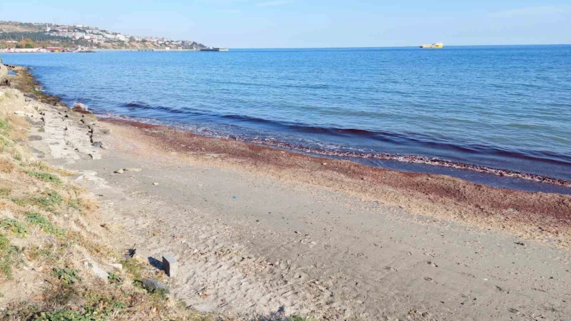 Tekirdağ’da kıyı kızıla boyandı
