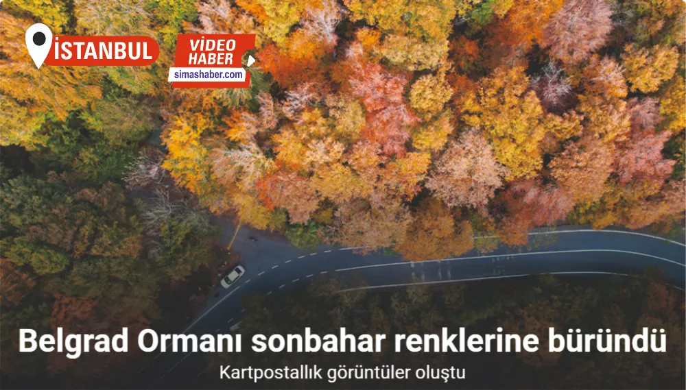 Belgrad Ormanı sonbahar renklerine büründü