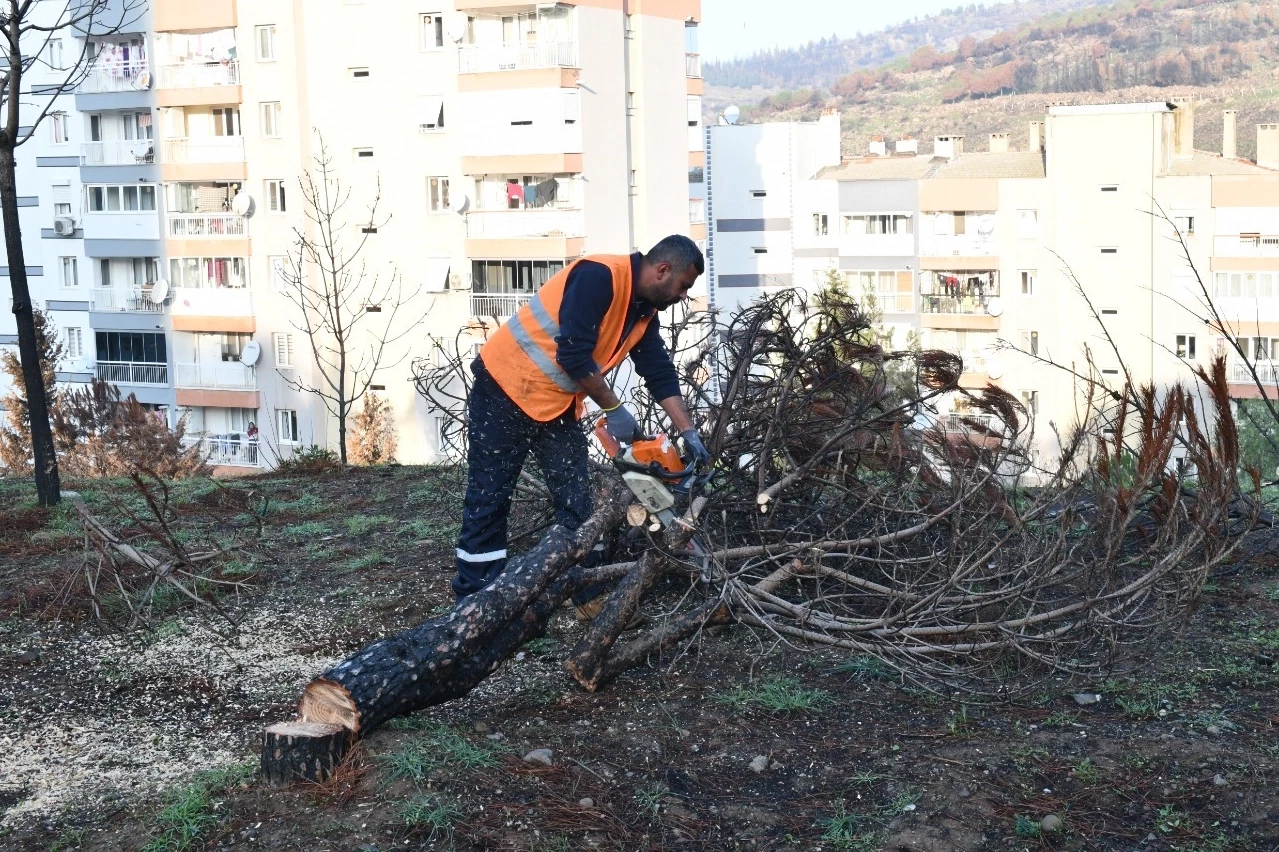 İzmir Çiğli yangın izlerini siliyor!