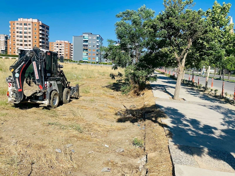 Manisa’da Yabani Ot Temizliği Çalışmaları Devam Ediyor