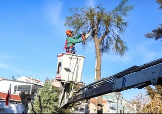 Buca’da yeşil doku için yoğun mesai