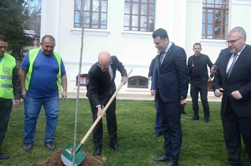 Hazine ve Maliye Bakanı Mehmet Şimşek Bilecik’te çınar fidesi dikti
